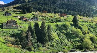 Elevit Yaylası