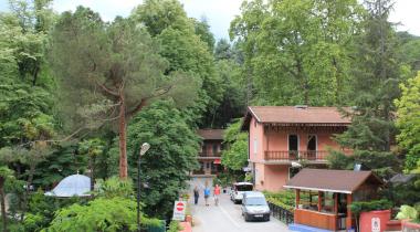 Yalova Termal Anıt Çınar Ağacı