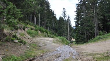 Bedir Yaylası