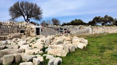 İzmir Teos Antik Kenti Zeytin Anıt Ağacı