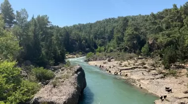 Tazı Kanyonu