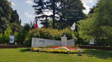 Yalova Atatürk Yürüyen Köşkü Anıt Çınar Ağacı