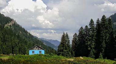 Papart Düzü (Yaylası)