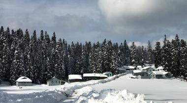 Sinekli Yaylası