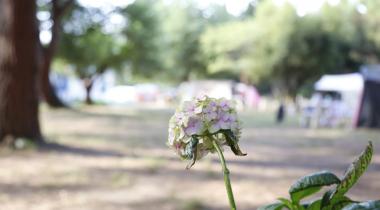 Kapıdağ Camping
