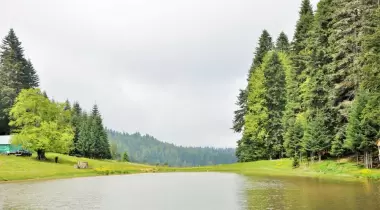 Pürenli Yaylası