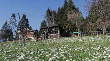 Kadıralak Yaylası