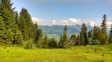 Trabzon Düzköy Doğa Kampı