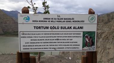 Tortum Gölü Seyir Alanı