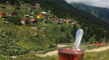 Amlakit Yaylası