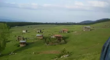 Kabaarmut Yaylası