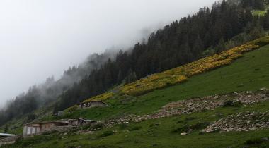 Yukarı Ceymakçur Yaylası