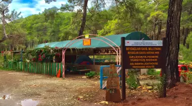 Beş Adalar Camping