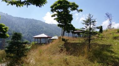 Arapdüzü Mesire Alanı