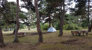 Niksar Kamping