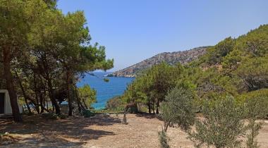 Karadere Park Orman