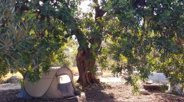 Kapıyanı Camping