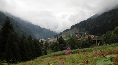 Ayder Camping