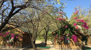 Gülbahar Pansiyon ve Camping