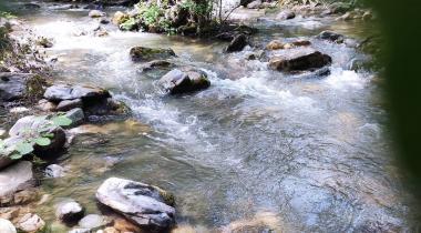 Troltunga Camping