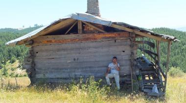 Yellice Yaylası