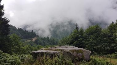 Ayder Camping