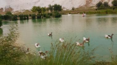 Baydil Park - Camping
