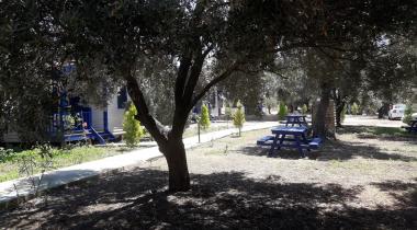 Ovabükü Kamp Alanı