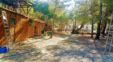 Karadere Park Orman
