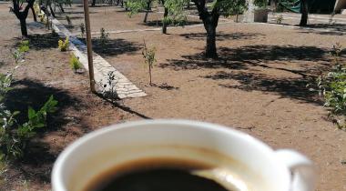 EzgiM Camping