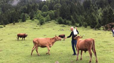 Galer Düzü Kamp Alanı