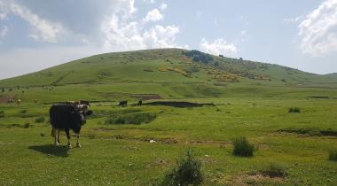 Korgan Yaylası