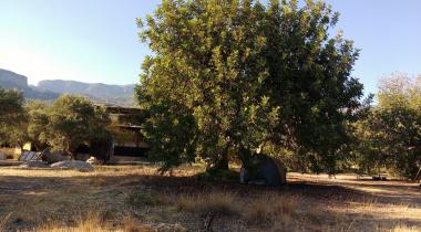 Kapıyanı Camping