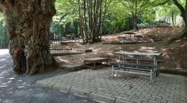Ayvaz Camping, Kamp