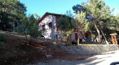 Aşı Koyu Plajı