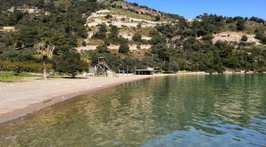 Sarsala Koyu