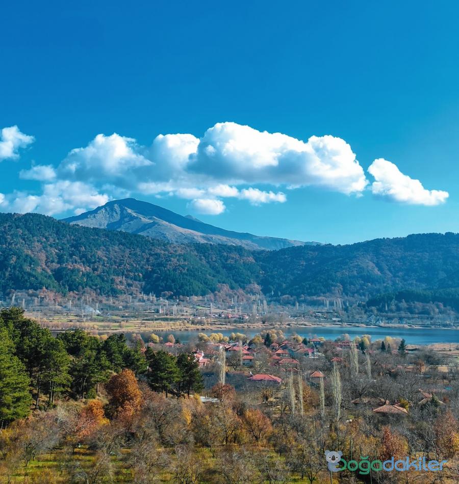 TORRHEBİA DAĞ EVİ, Ödemiş Bungalov Ev