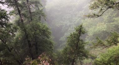 Karadağ Şelalesi