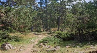 Macera Park Çamlıdere