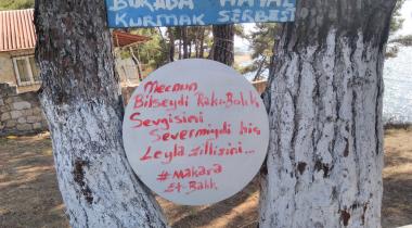 Dolmuş Camping