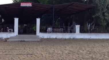 Endemik Kamping Beach