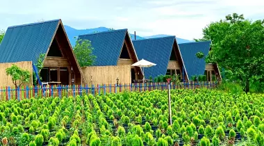 Sapanca Narlı Bahçe Bungalow
