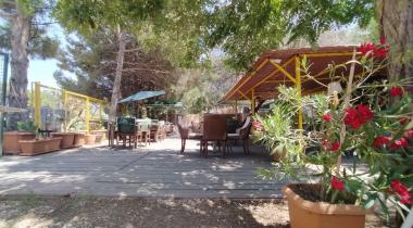 Yeşil Kamp