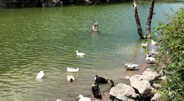 Orman ve Su İşleri Bakanlığı İzmir Karagöl Tabiat Parkı