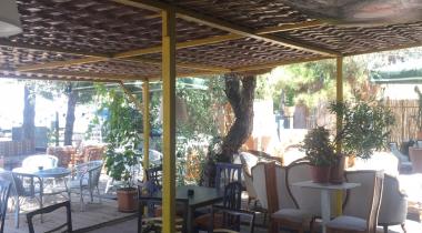 Yeşil Kamp