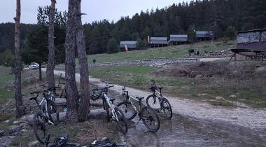 Kamp Bozayı