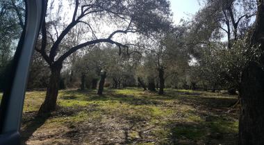 Naturland Piknik Alanı