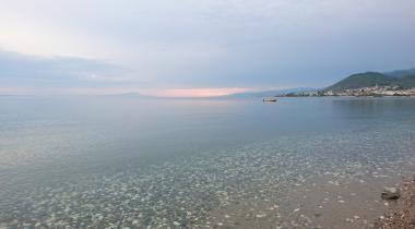 Endemik Kamping Beach