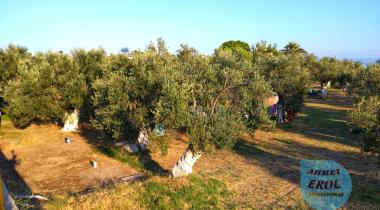Antandros Camping Karavan
