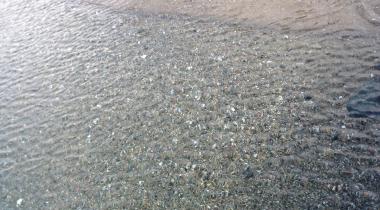 Endemik Kamping Beach
